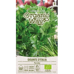 Persille frø GIGANTE ITALIA EKO