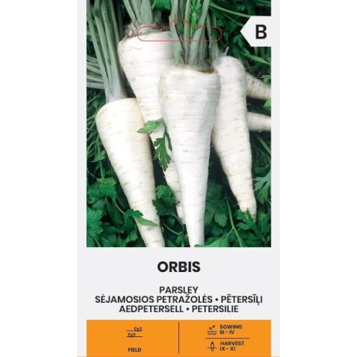 Persille frø ORBIS