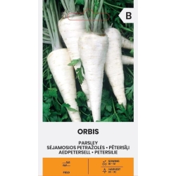 Persille frø ORBIS