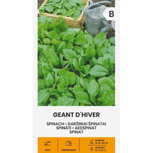 Spinatfrø GEANT D HIVER