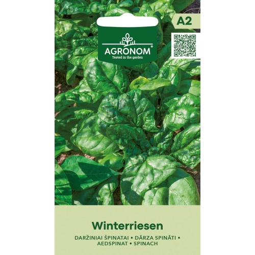 Spinatfrø WINTERRIESEN