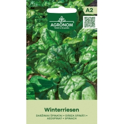 Spinatfrø WINTERRIESEN