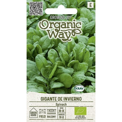 Spinatfrø GIGANTE DE INVIERNO EKO