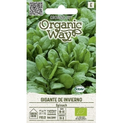 Spinatfrø GIGANTE DE INVIERNO EKO