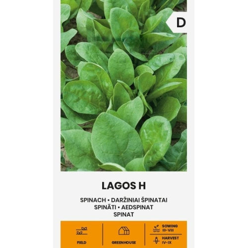 Spinatfrø LAGOS H