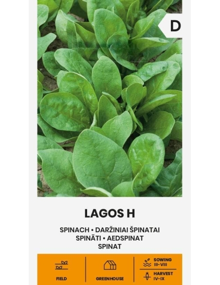 Spinatfrø LAGOS H