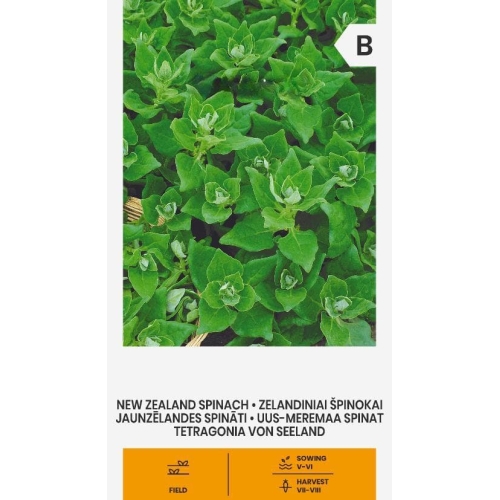 Spinatfrø NEW ZELAND