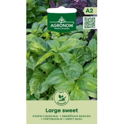 Basilikumfrø LARGE SWEET