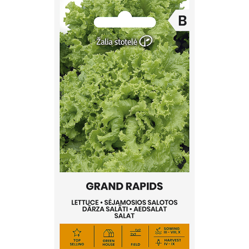 Isbergsalat GRAND RAPIDS