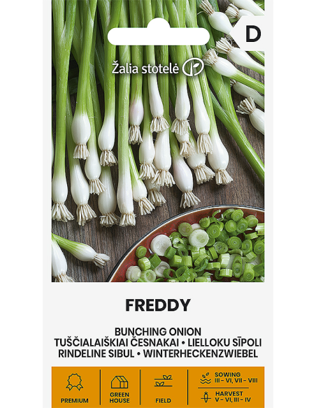 Vårløk Freddy