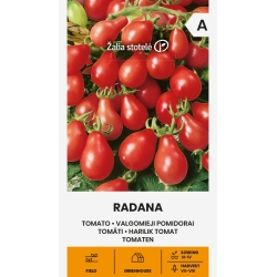 Tomatfrø RADANA
