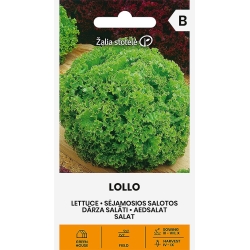Salatfrø LOLLO (BIONDA)