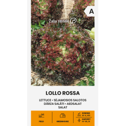 Salatfrø LOLLO ROSSA