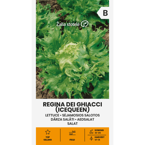 Salatfrø REGINA DEI GHIACCI (ICEQUEEN)