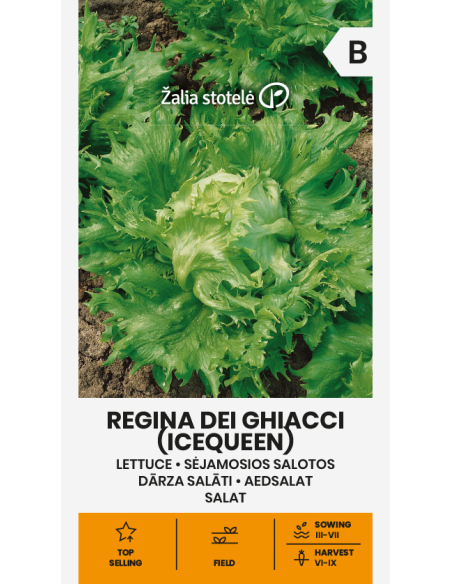 Salatfrø REGINA DEI GHIACCI (ICEQUEEN)