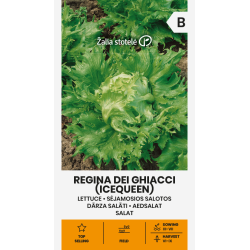 Salatfrø REGINA DEI GHIACCI (ICEQUEEN)