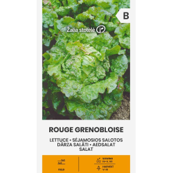 Salatfrø ROUGE GRENOBLOISE