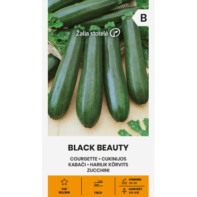 Squash Black Beauty