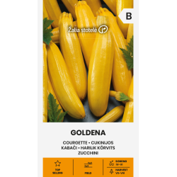 Squash Goldena