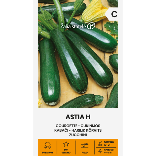 Squash Astia H