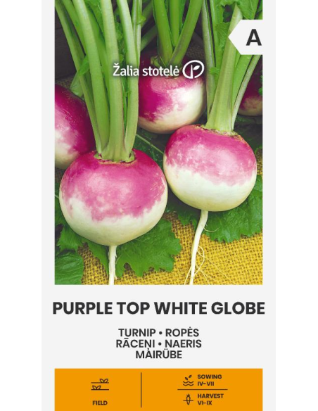 Nepe Purple Top White Globe