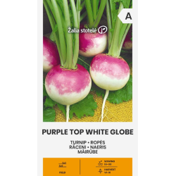 Nepe Purple Top White Globe
