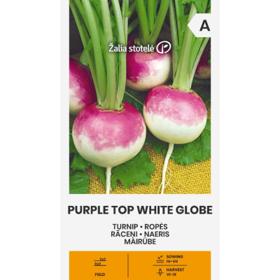 Nepe Purple Top White Globe