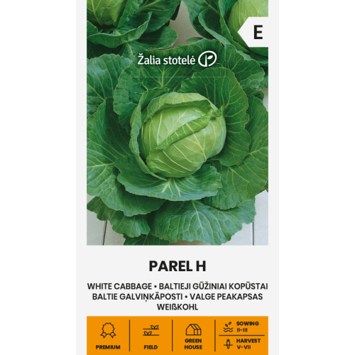 Hodekål Parel H
