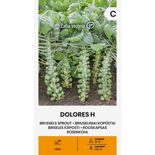 Rosenkål Dolores H