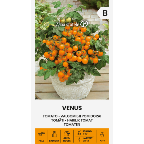 Cherrytomat VENUS