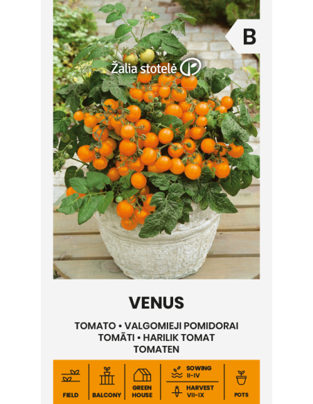 Cherrytomat VENUS