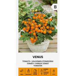 Cherrytomat VENUS