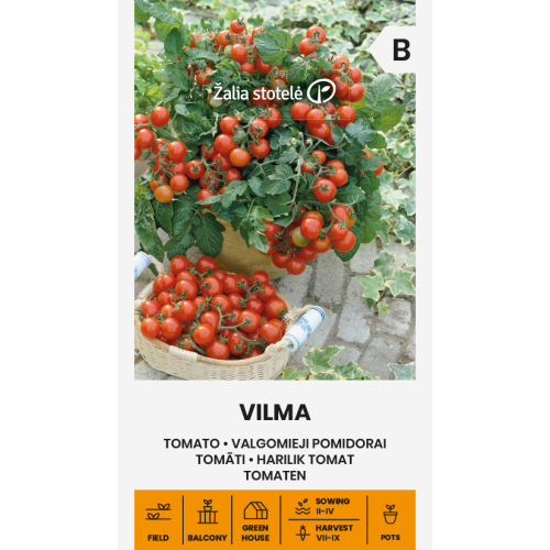 Cherrytomat VILMA 120 frø