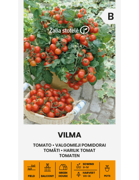 Cherrytomat VILMA 120 frø