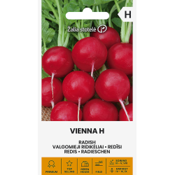 Reddik Vienna H