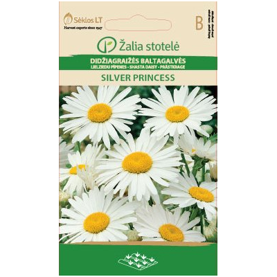 Kjempekrage SILVER PRINCESS