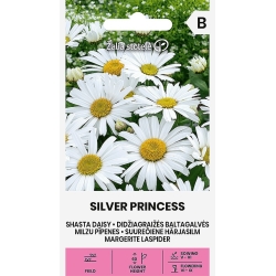 Kjempekrage SILVER PRINCESS