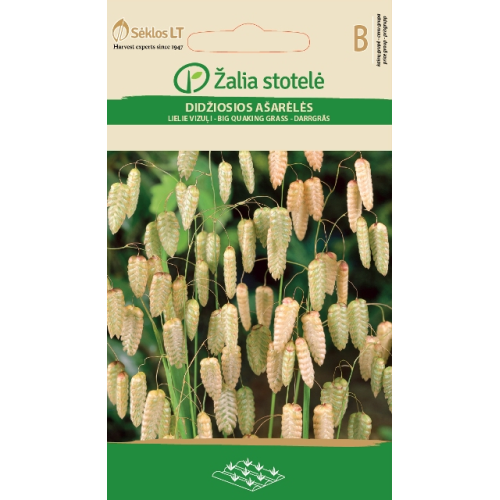 Italiensk Hjertegras BRIZA