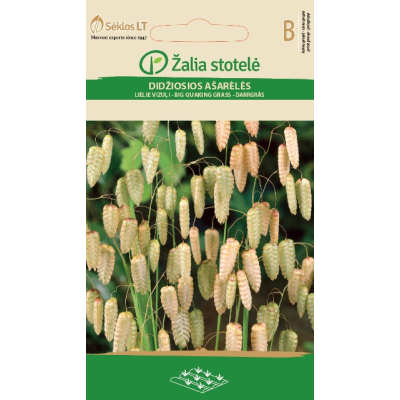 Italiensk Hjertegras BRIZA