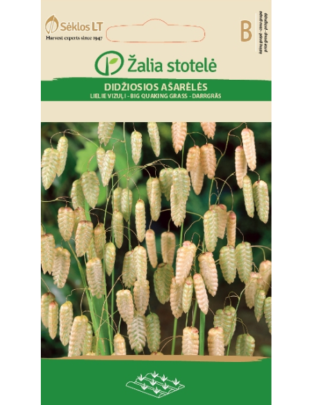 Italiensk Hjertegras BRIZA