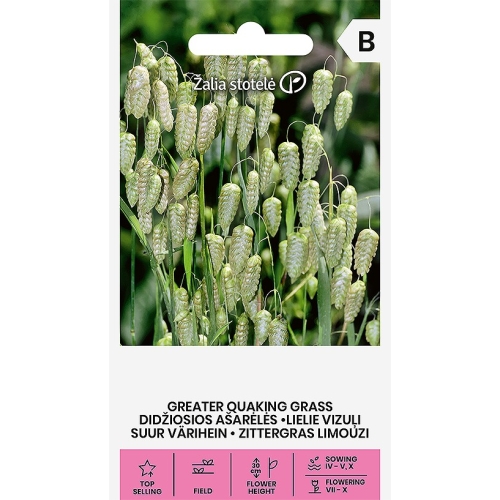 Italiensk Hjertegras BRIZA