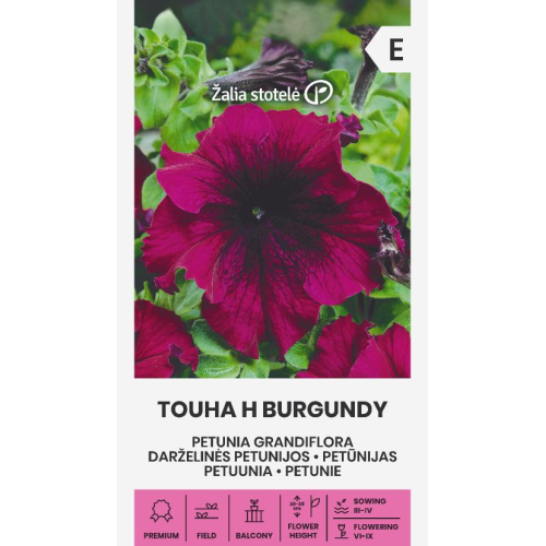 Petunia GRANDIFLORA TOUHA H BURGUNDY