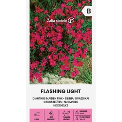 Busknellik PINK FLASHING LIGHT