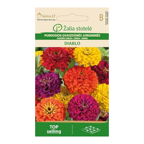 Sinnia DIABLO