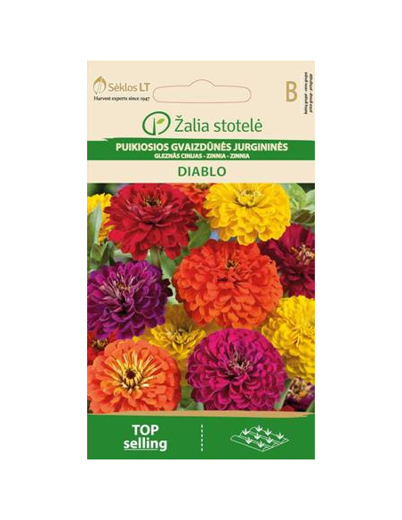 Sinnia DIABLO