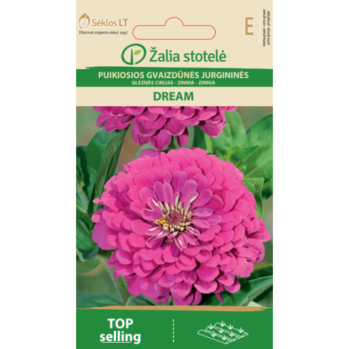 Sinnia DREAM