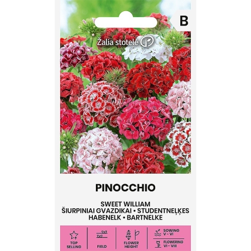 Busknellikfrø PINOCCHIO