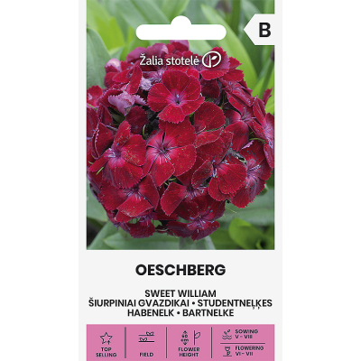 Busknellik WILLIAM OESCHBERG