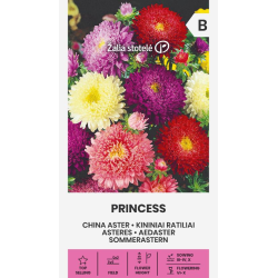 Asters frø PRINCESS