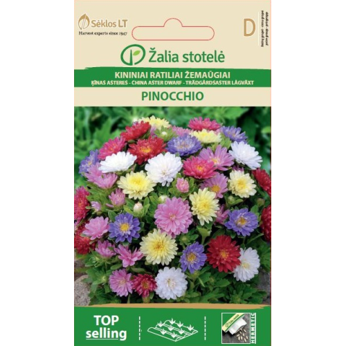 Asters frø PINOCCHIO MIX